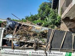 Best Estate Cleanout  in Mona, UT